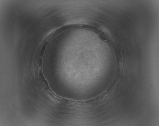 X0000053051064200507111120