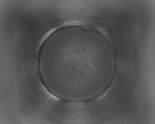 X0000053051066200507111120