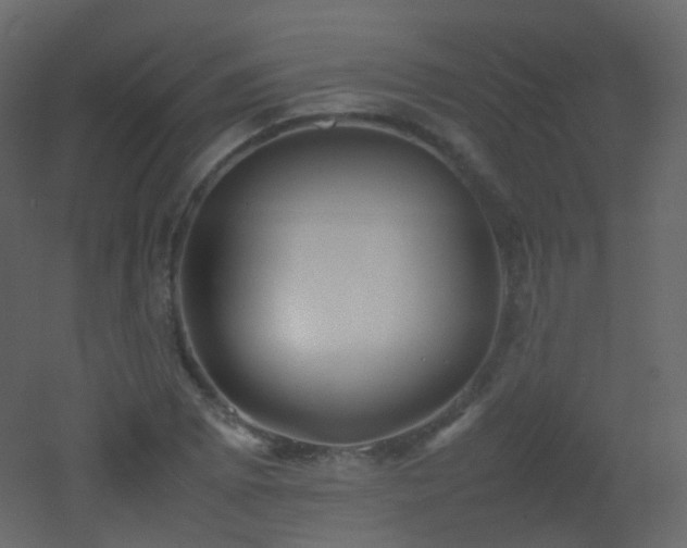 X0000053051073200507111120