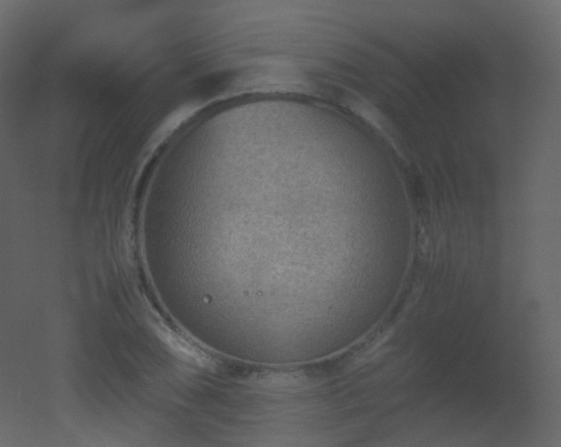 X0000053051074200507111120