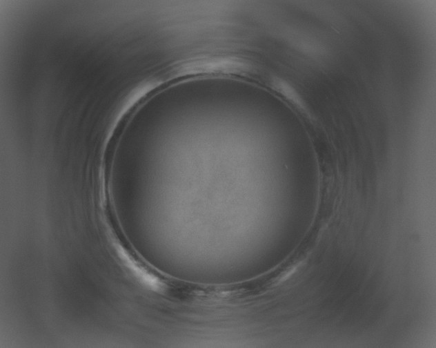 X0000053051079200507111120