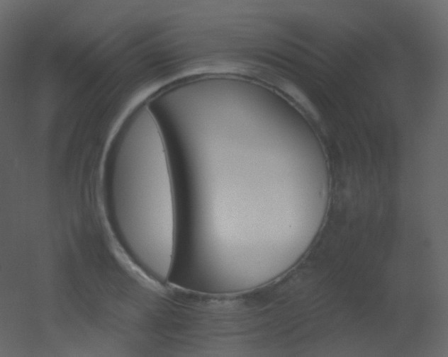 X0000053051080200507111120
