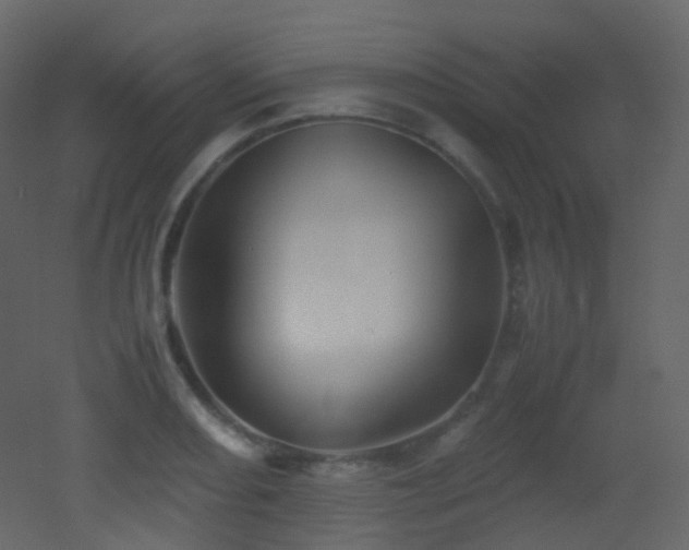 X0000053051082200507111120