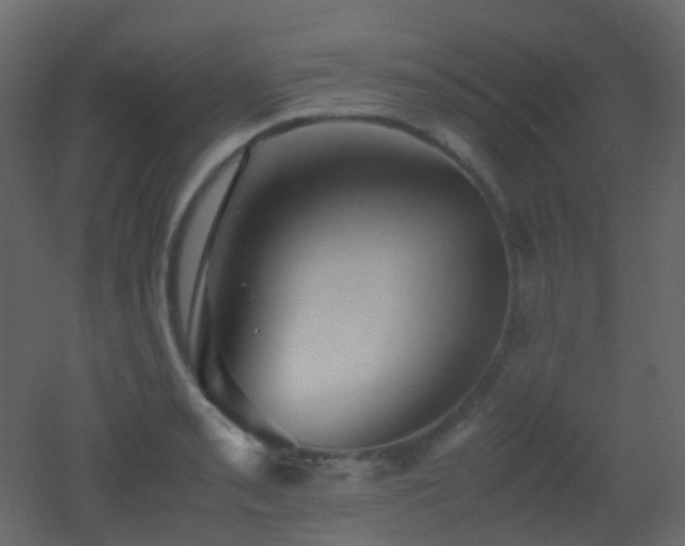 X0000053051085200507111120