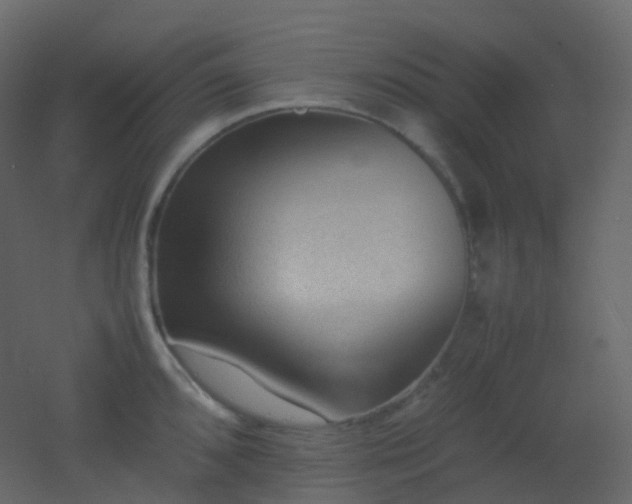 X0000053051096200507111119