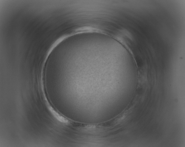 X0000053051098200507111119
