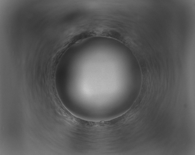 X0000053051105200507111118