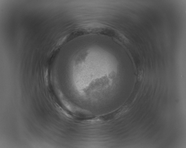 X0000053051108200507111119