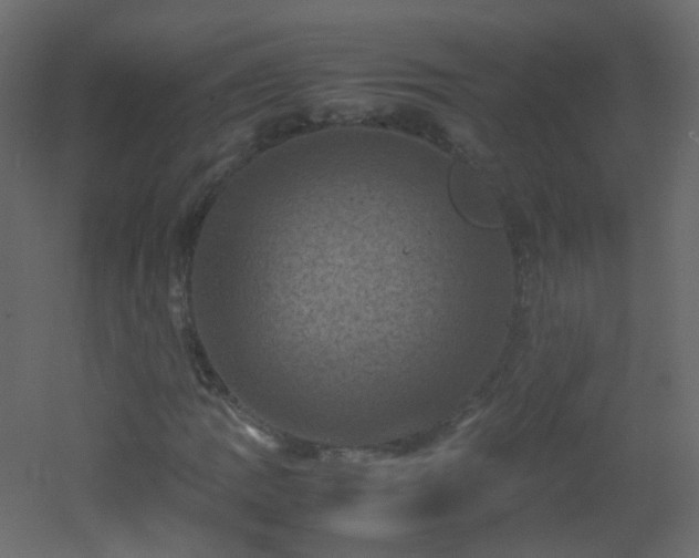 X0000053051109200507111119