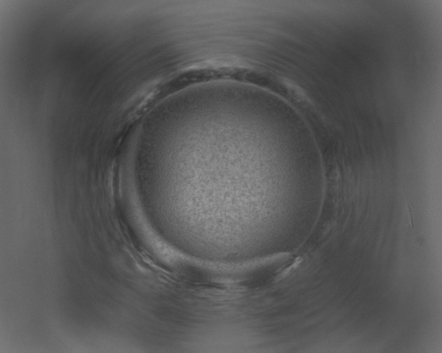X0000053051110200507111119