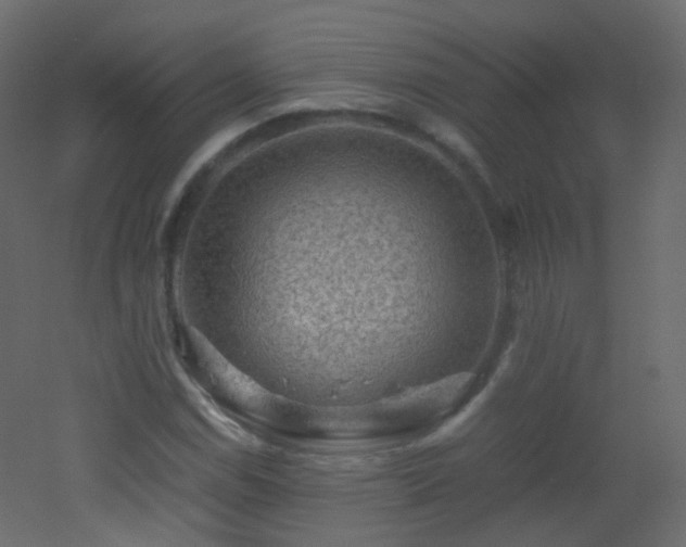 X0000053051114200507111119