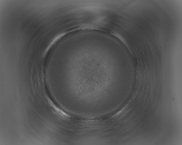 X0000053051115200507111119