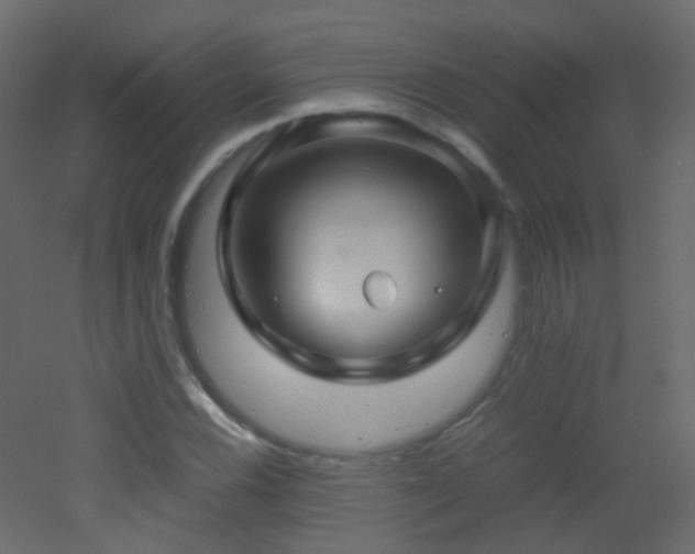 X0000053051116200507111119