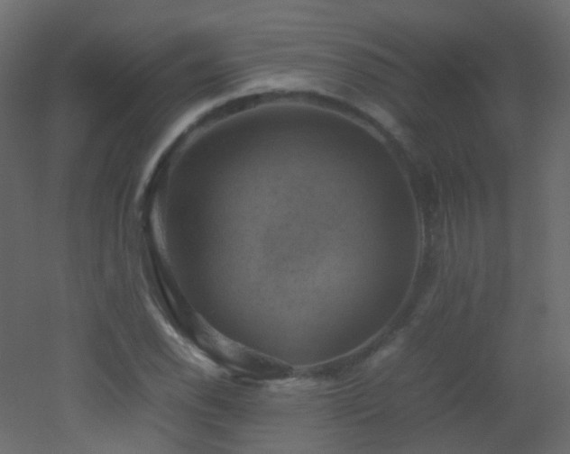 X0000053051118200507111119