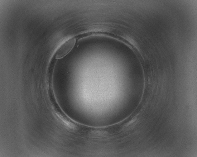 X0000053051119200507111119