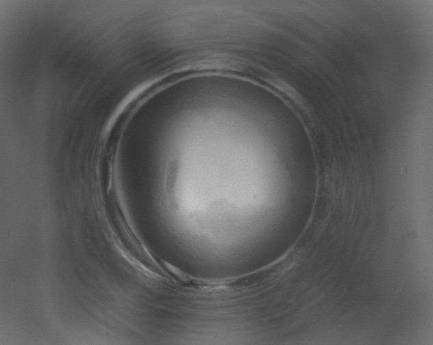 X0000053051120200507111119