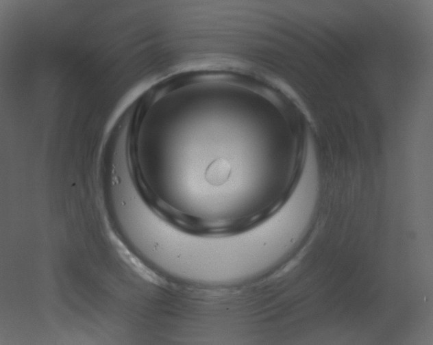 X0000053051122200507111119