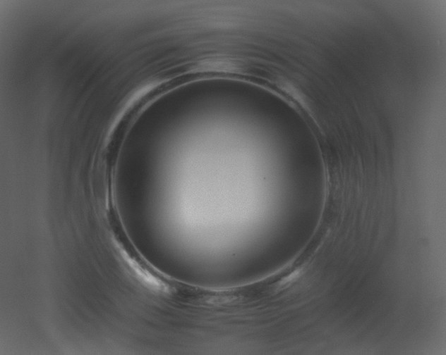 X0000053051123200507111119