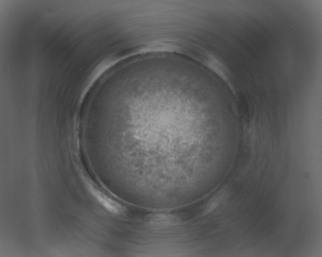 X0000053051124200507111119