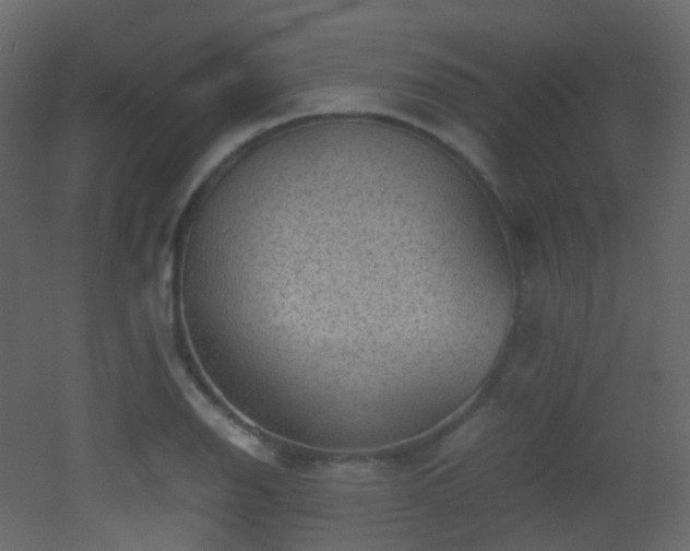 X0000053051126200507111119
