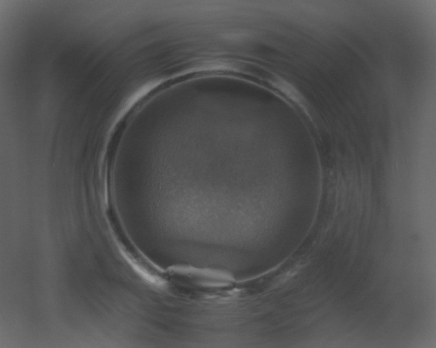 X0000053051127200507111119