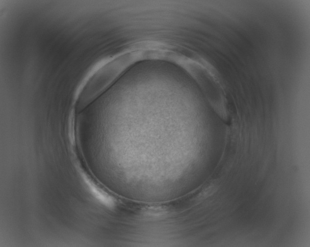 X0000053051128200507111119