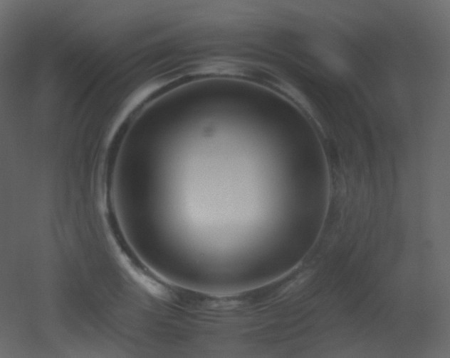 X0000053051131200507111119