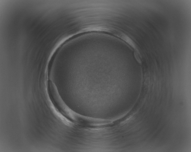X0000053051132200507111119