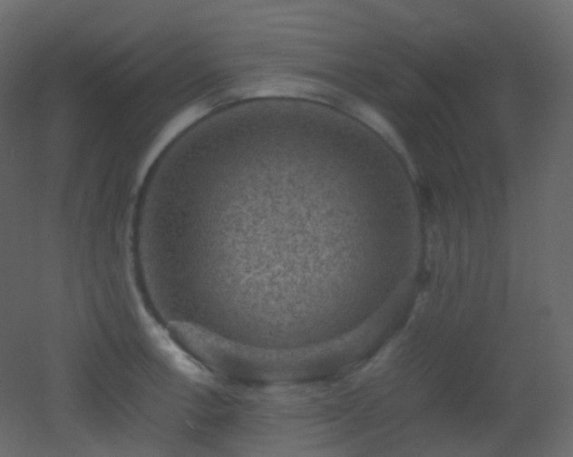 X0000053051138200507111119