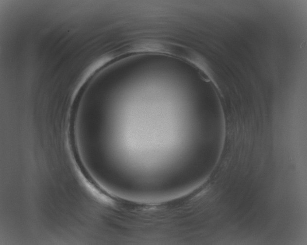 X0000053051139200507111119