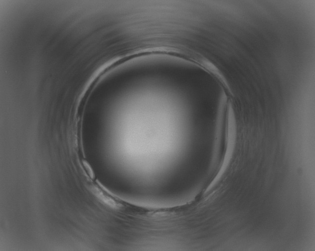 X0000053051140200507111119