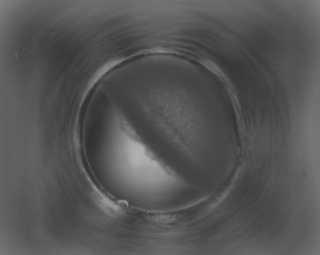X0000053051141200507111119