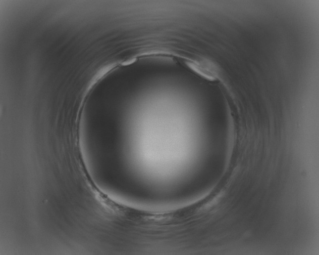 X0000053051145200507111119