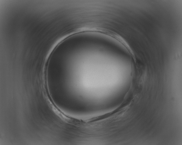 X0000053051148200507111119