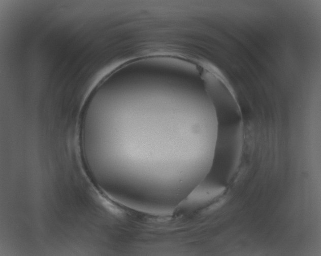 X0000053051149200507111119