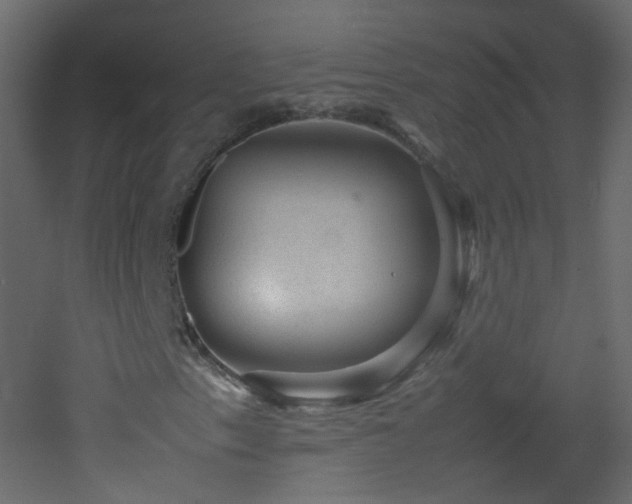 X0000053051153200507111118