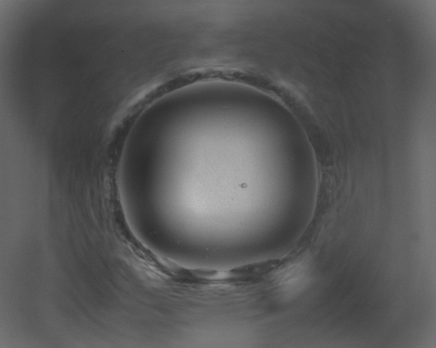 X0000053051159200507111118