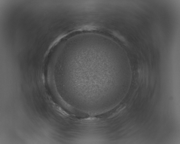 X0000053051160200507111118