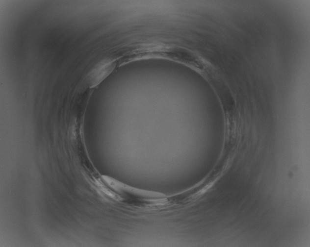 X0000053051161200507111118