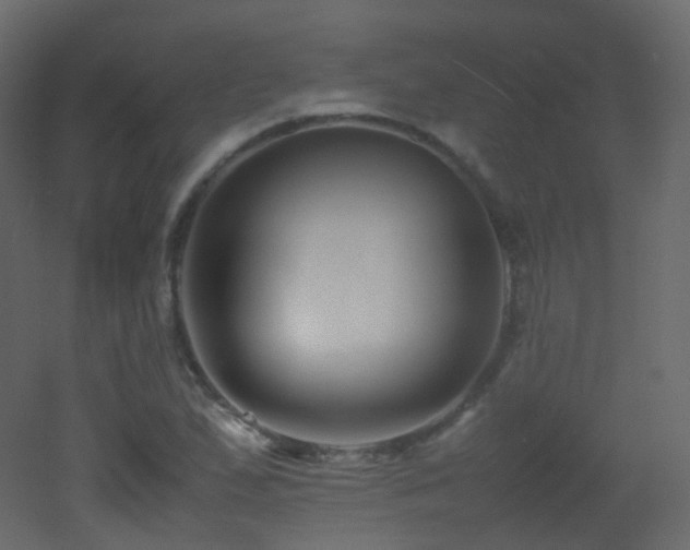X0000053051167200507111118