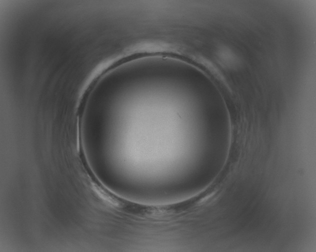 X0000053051175200507111118