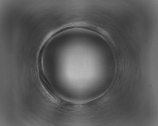 X0000053051176200507111118
