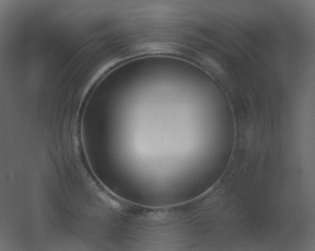 X0000053051182200507111118