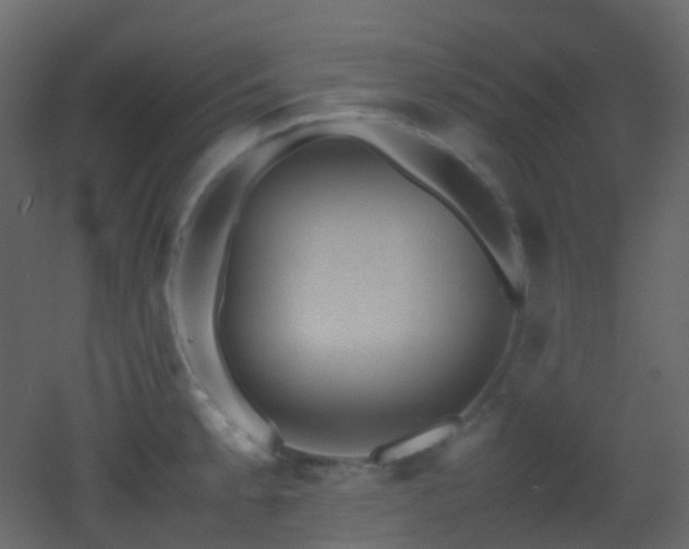 X0000053051189200507111118