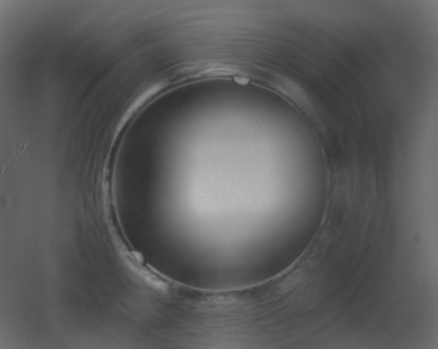 X0000053051190200507111118