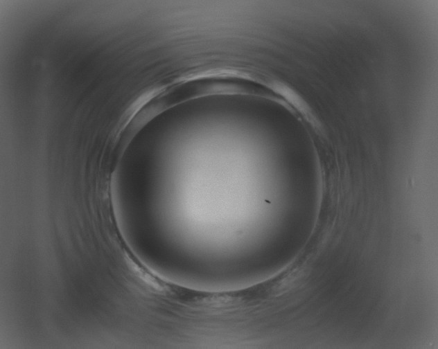 X0000053051193200507111118