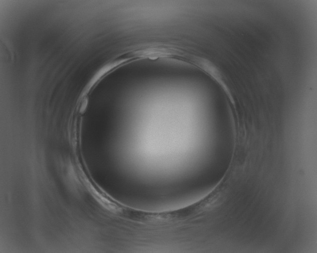 X0000053051195200507111118