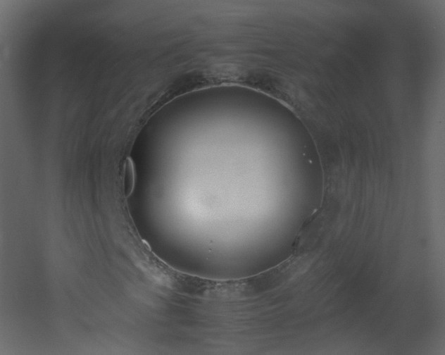 X0000053051201200507111117