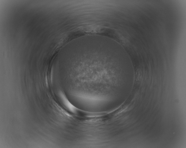 X0000053051202200507111117