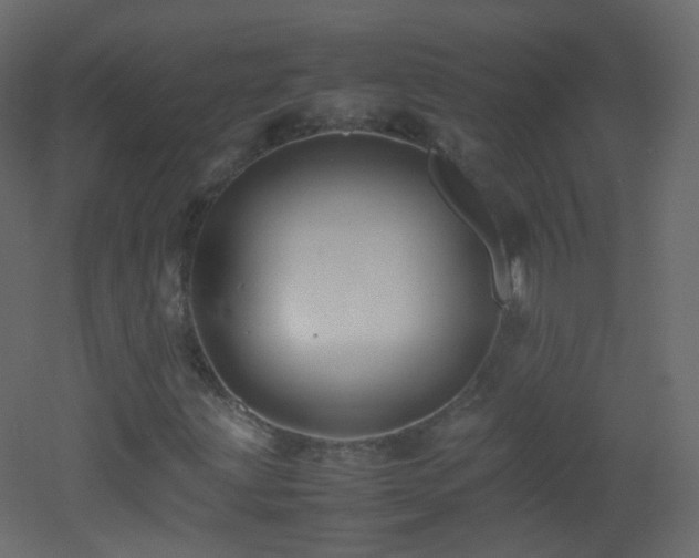 X0000053051203200507111117